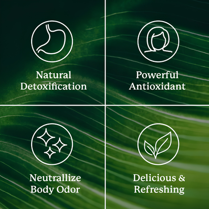 Chlorophyll Stick Packs for Gut Health